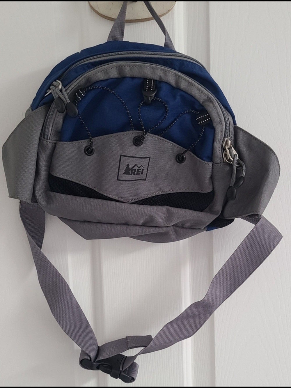 REI Gray and Blue Men's Waist Pack - Hiking BAG
